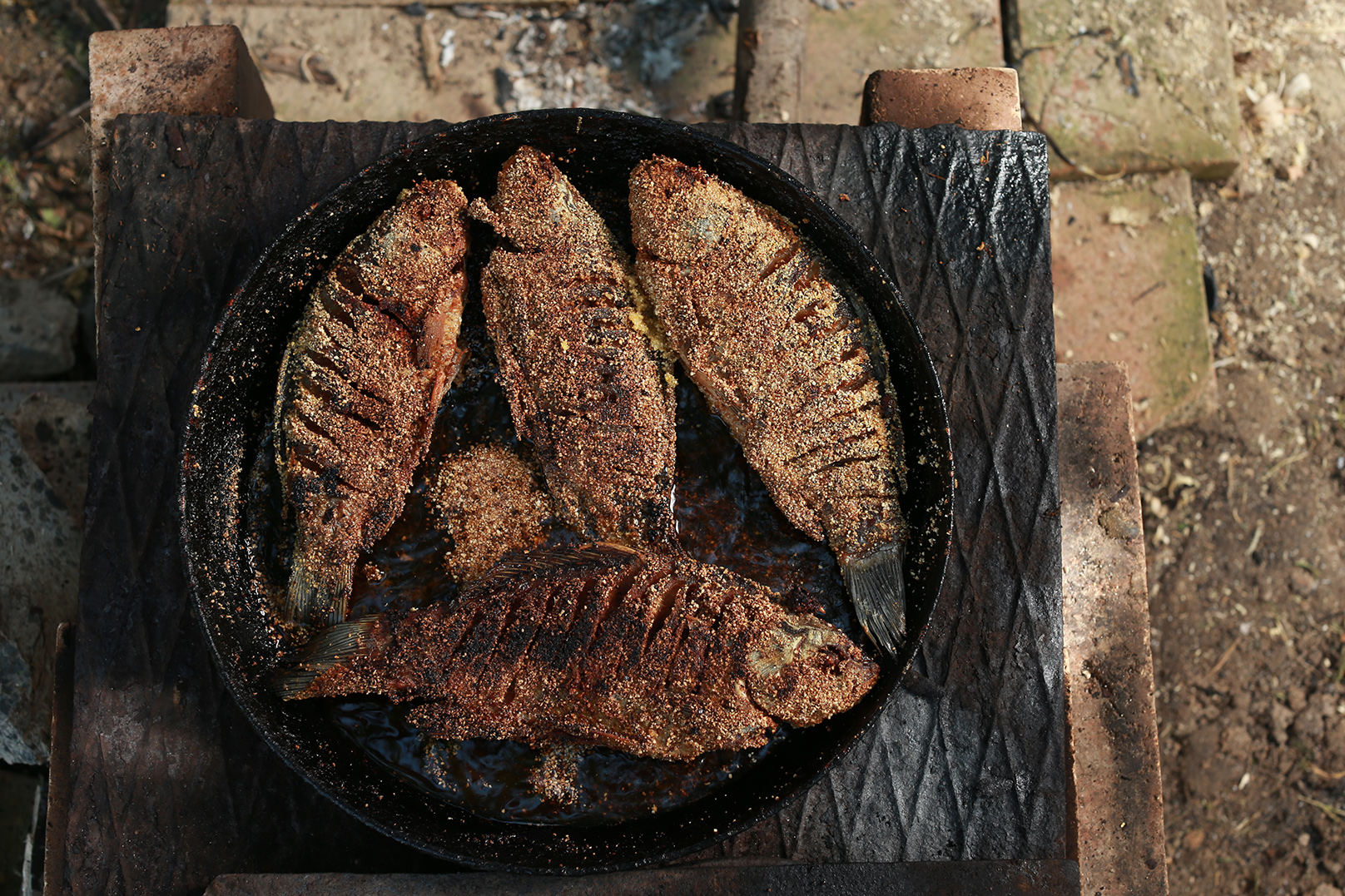 PhotoAromaVentura 12